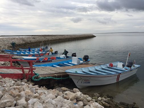 Lance per il whale watching a Guerrero Negro - foto di Blue Lama